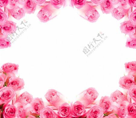 粉红色玫瑰花边图片素材