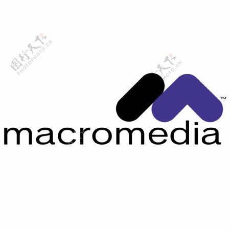 Macromedia2