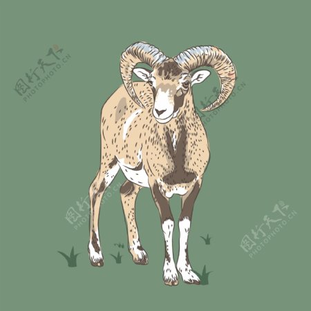 印花矢量图卡通动物羊免费素材