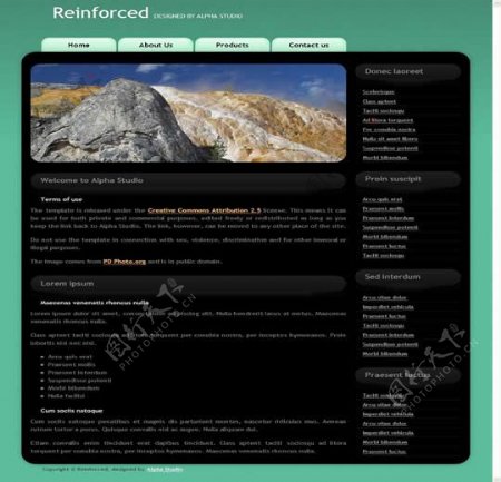 国外山脉创意网站模板