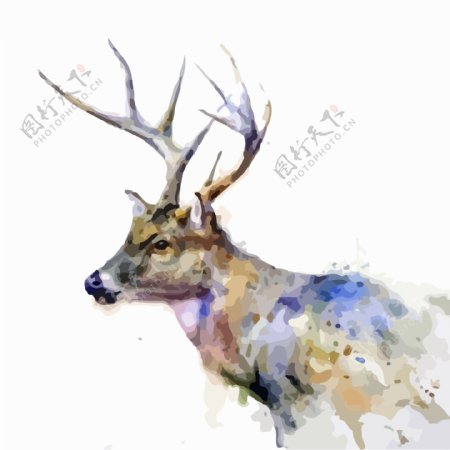 印花矢量图艺术效果水彩动物鹿免费素材