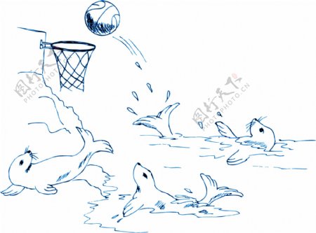 海豹打篮球