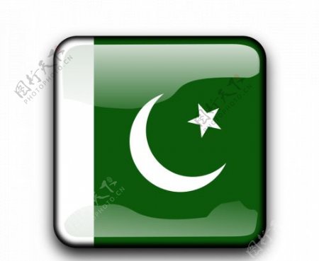 巴基斯坦国旗里面有方形矢量
