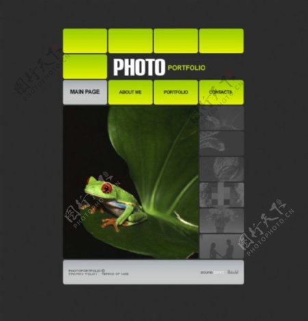 绿色摄影网站psd模板