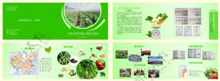 蔬菜产业画册设计图片