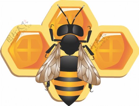 可爱的3d蜜蜂和蜂窝矢量素材