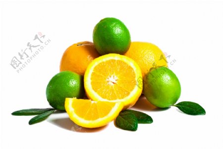 一对橙子柠檬