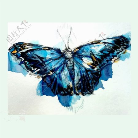印花矢量图艺术效果水彩昆虫蝴蝶免费素材