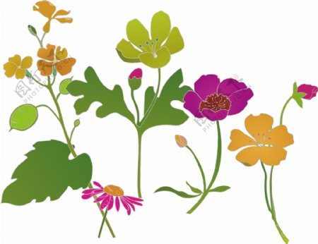 印花矢量图优雅植物花绿叶花蕾免费素材