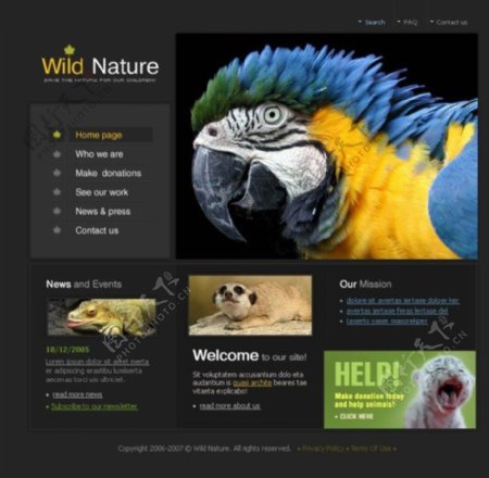 野生动物网站psd模板