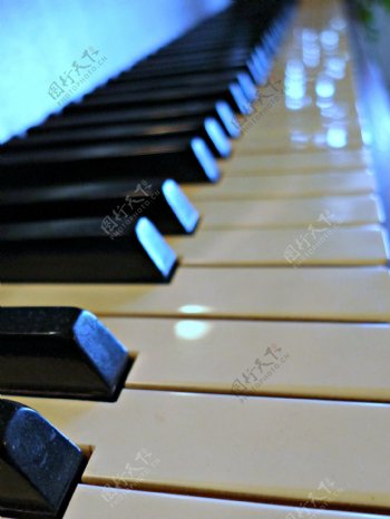 琴键图片