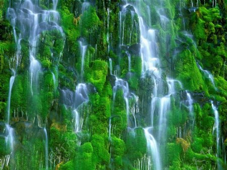 绿与瀑布