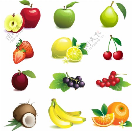 12种常见水果矢量素材