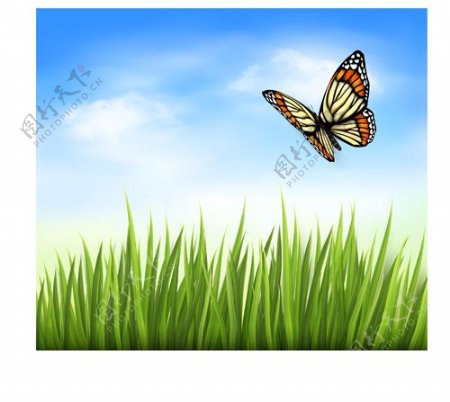 美丽的蝴蝶和绿草背景矢量03