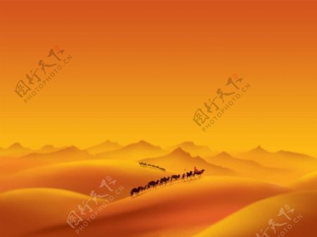 沙漠骆驼景色风光ppt模板.