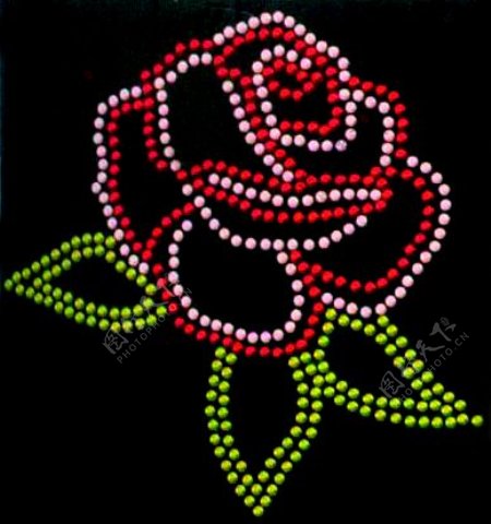 烫钻玫瑰花植物花卉色彩黑白色免费素材