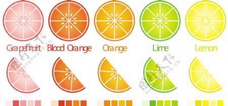 矢量格式的完整的样本柑橘切片和楔