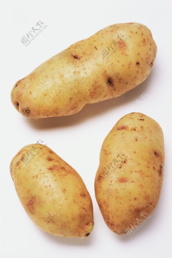 土豆摄影图片