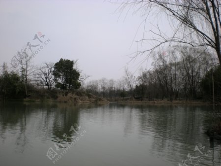 杭州西溪湿地高清旅游图片