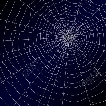 蜘蛛网的设计元素矢量图02