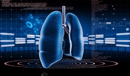 肺电脑图图片