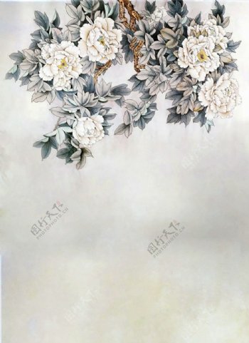 洛花缘图片