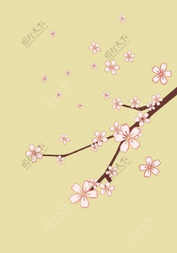 樱花插图图片