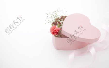 玫瑰花礼盒图片