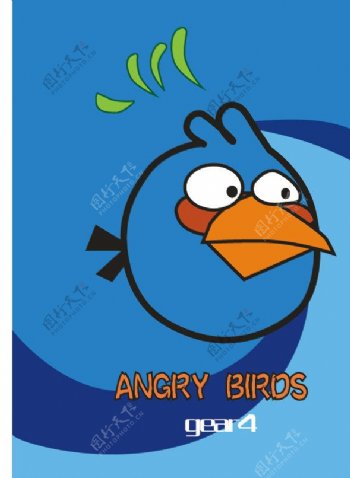 愤怒的小鸟图片