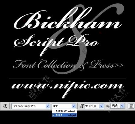 BickhamScriptPro系列字体下载