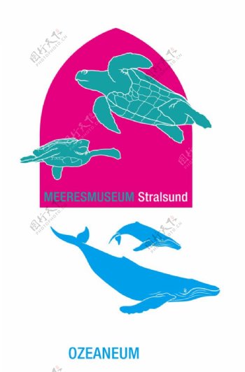 乌龟海豚动物矢量图图片