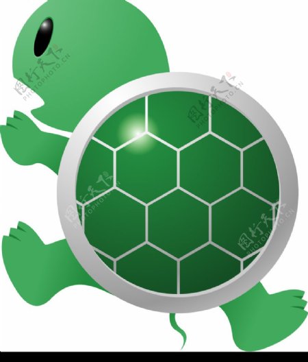 绿壳小乌龟图片