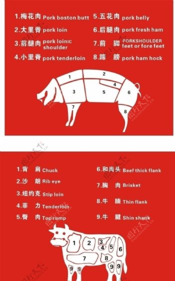 超市猪牛肉分割图图片