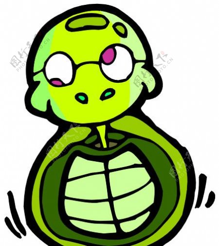 绿龟图片