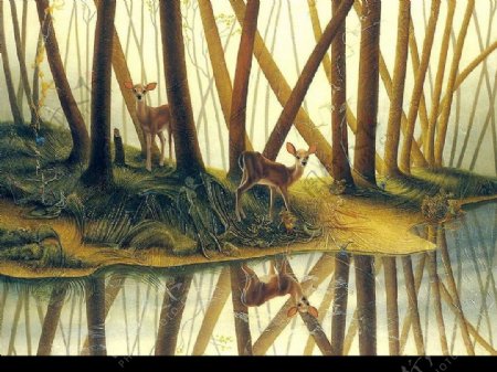 精美奇妙的动物画丛林小鹿图片