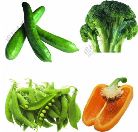 高清蔬菜PS图层图片