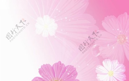 粉色花纹背景图片