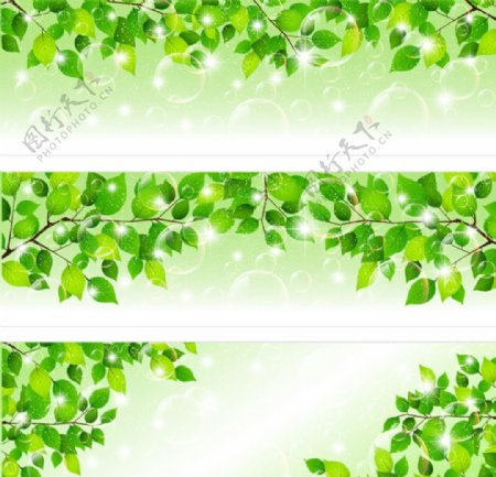 绿色环保树叶展板模板图片
