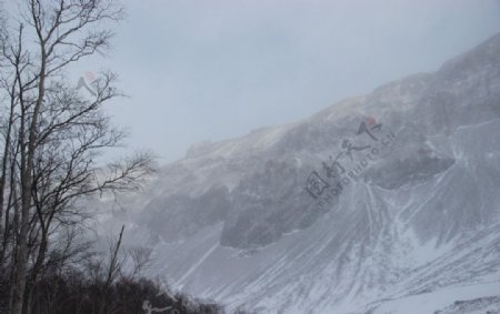 长白山雪景图片