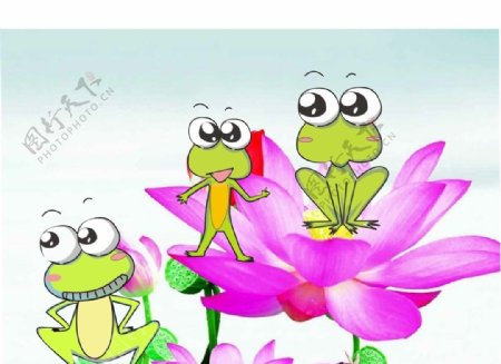 花丛中的青蛙图片