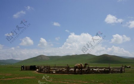 蒙古国草原图片