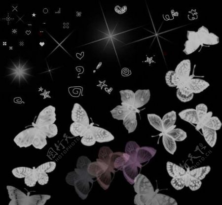 蝴蝶和星光笔刷