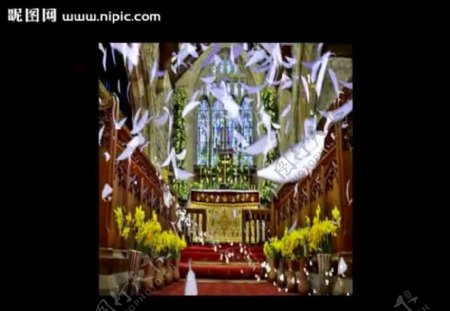 教堂羽毛婚礼背景视频