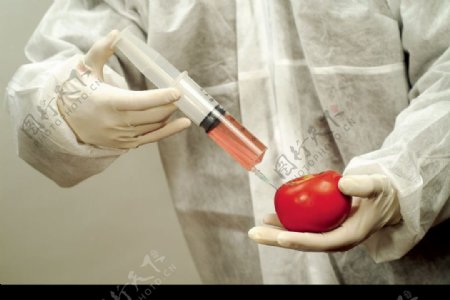番茄注射液体图片