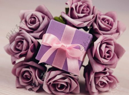 紫玫瑰礼盒图片