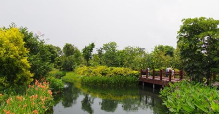 海珠湿地公园湿地公园图片