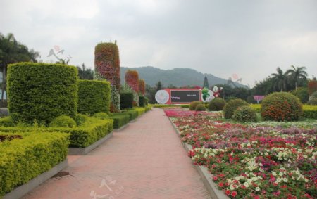 漳州花博园图片