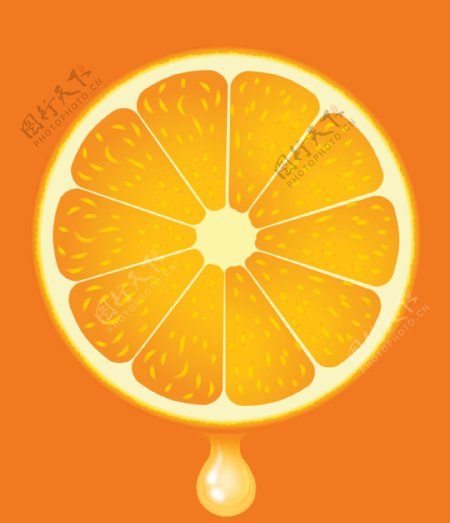 橙子素材