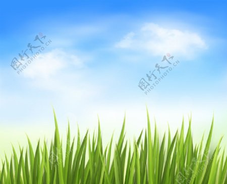 矢量草丛蓝天白云图片