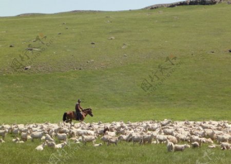 牧场草原内蒙古图片